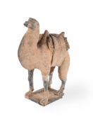 A CHINESE TERRA COTTA CAMEL