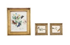 ENGLISH SCHOOL (EARLY 19TH CENTURY), THREE STUDIES OF INSECTS AND FLOWERS (3)