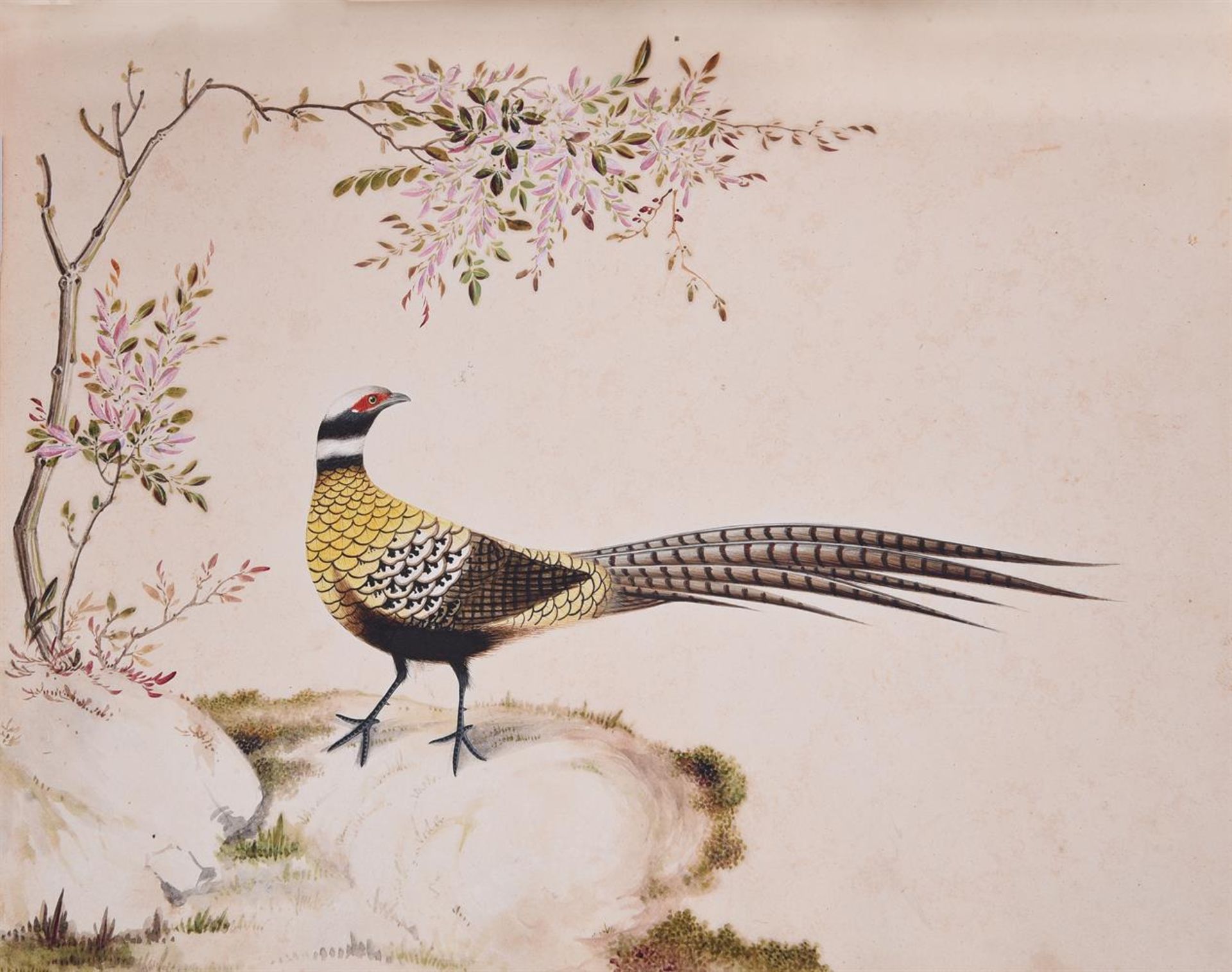 A fine and rare album of 67 china trade watercolours - Image 12 of 26
