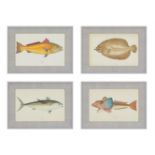 A SET OF TWENTY-FOUR DECORATIVE PRINTS OF FISH AFTER J. COUCH