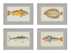 A SET OF TWENTY-FOUR DECORATIVE PRINTS OF FISH AFTER J. COUCH