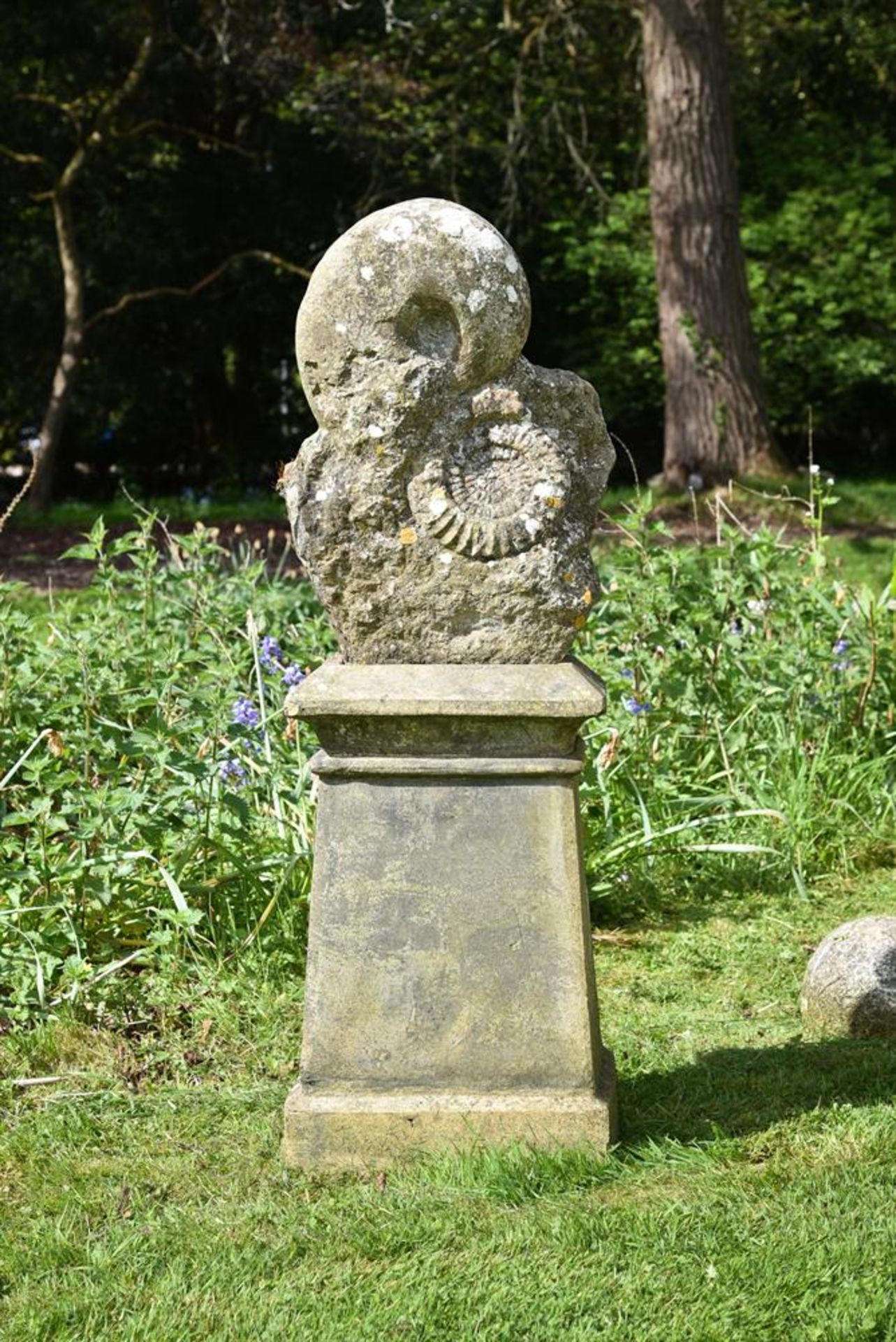 A SCULPTED LIMESTONE 'AMMONITE' GROUP