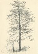 Hannah Mooney, Tree at Ballyglass, 2022