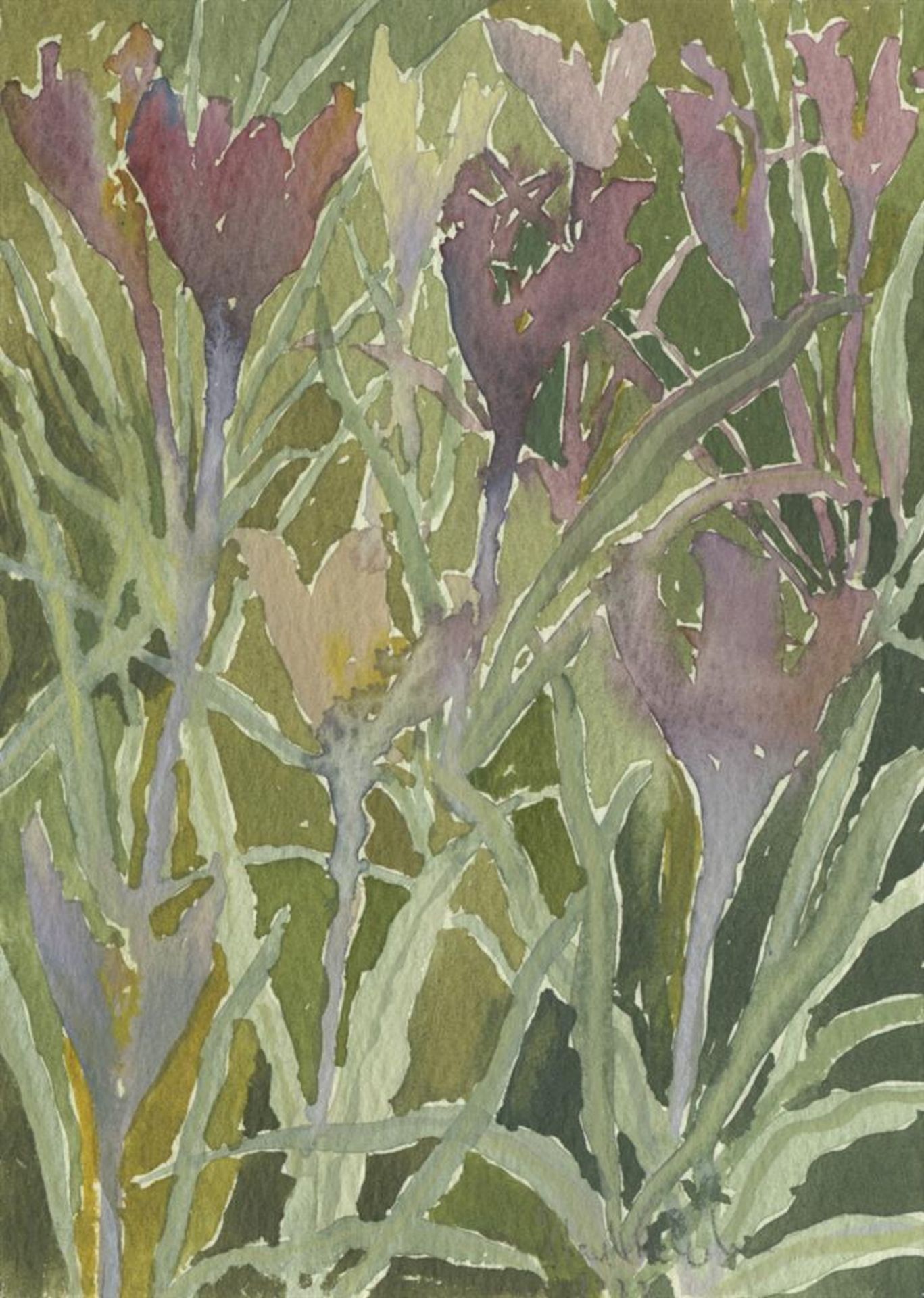 Beatrice Hassel-McCosh, Crocus, 2022