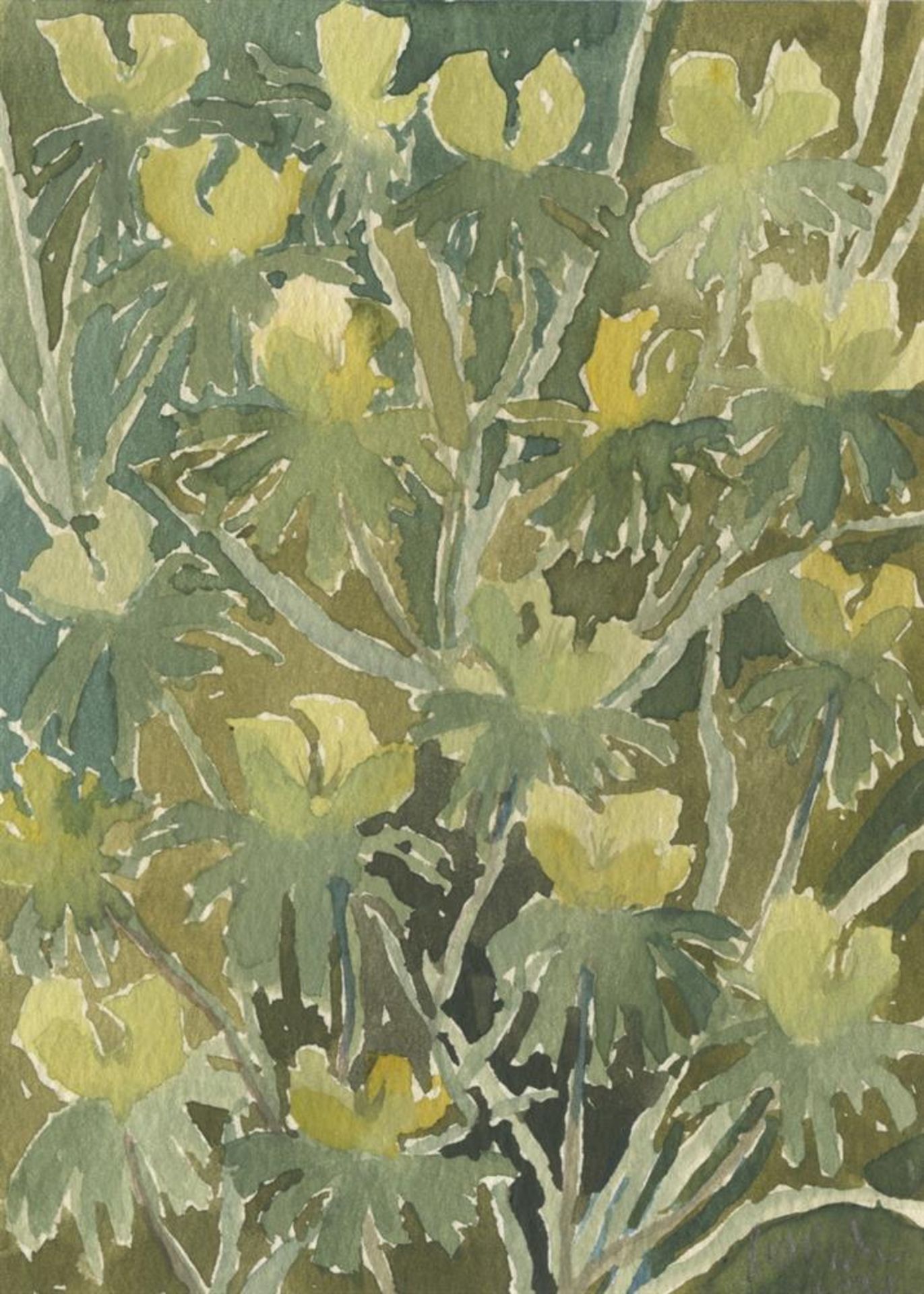 Beatrice Hassel-McCosh, Aconites, 2022