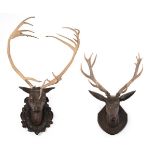 TWO CARVED WOOD STAG'S HEADS, PROBABLY AUSTRIAN, 19TH CENTURY