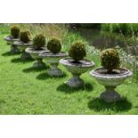 A SET OF SIX COMPOSITE STONE PLANTERS, 20TH CENTURY