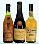 Mixed Case of Aged Calvados