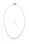 A DIAMOND AND CULTURED PEARL NECKLACE AND A PEARL STICKPIN