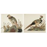 A PAIR OF MIXED MEDIA PICTURES OF BIRDS