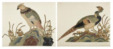 A PAIR OF MIXED MEDIA PICTURES OF BIRDS