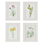 A SET OF DECORATIVE REPRODUCTION PRINTS OF BOTANICALS