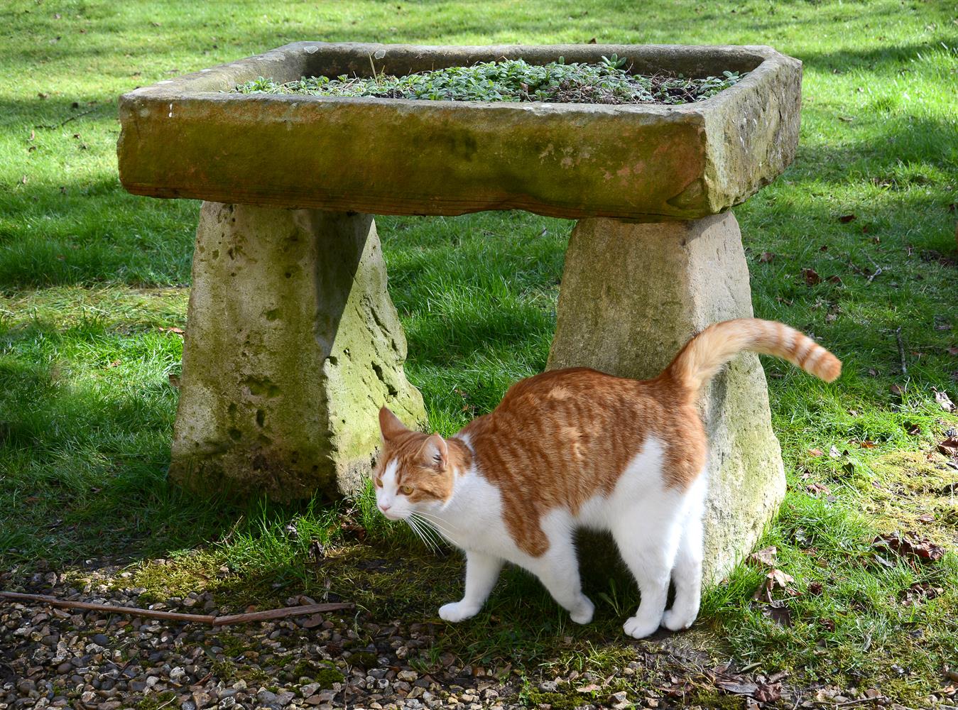 A LIMESTONE RAISED PLANTER OR BIRD BATH - Image 2 of 2