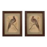 A PAIR OF DECORATIVE PICTURES OF PHEASANTS