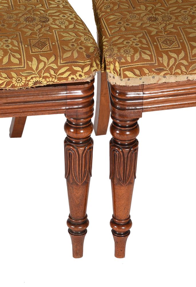 A SET OF SIX WILLIAM IV PADOUK DINING CHAIRS - Image 3 of 9