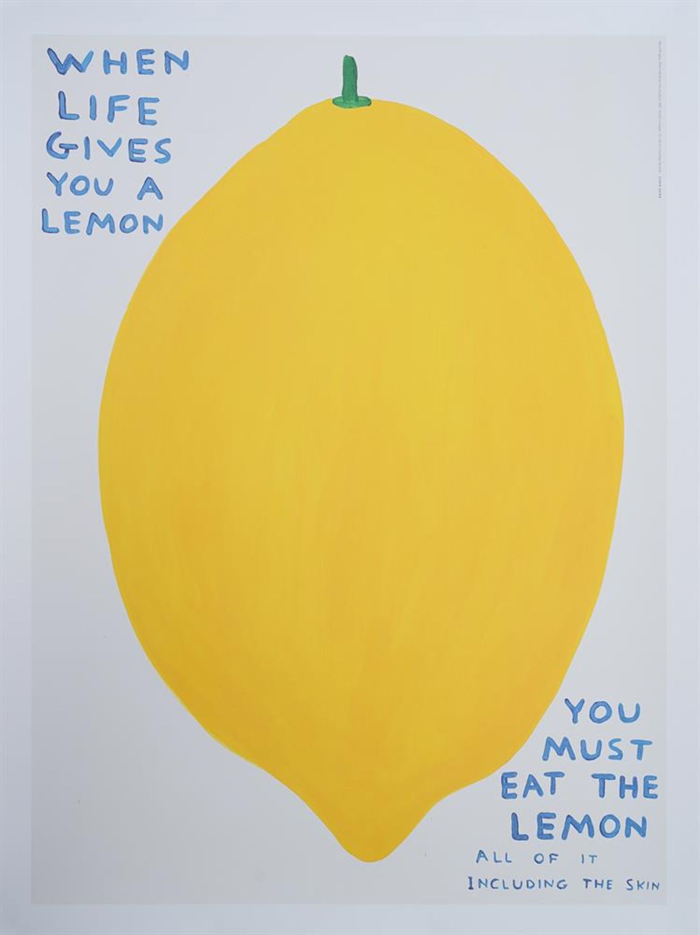 λ DAVID SHRIGLEY (BRITISH B. 1968), WHEN LIFE GIVES YOU A LEMON