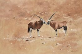 KIM DONALDSON (SOUTH AFRICAN B. 1952), TWO GEMSBOK