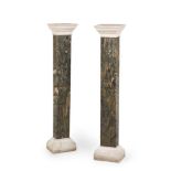 A PAIR OF WHITE AND VARIEGATED GREY STONE PEDESTAL COLUMNS, 19TH CENTURY