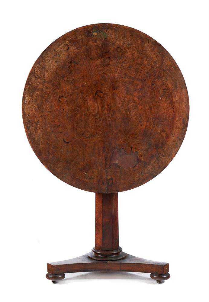 A WILLIAM IV POLLARD OAK TILT TOP OCCASIONAL TABLE, CIRCA 1835 - Image 2 of 2