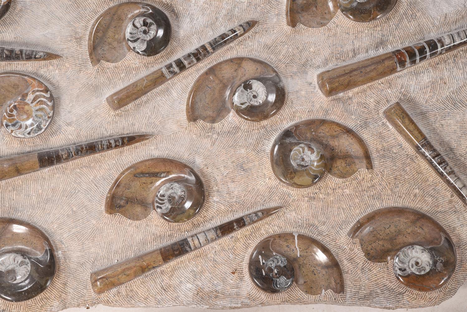 A LARGE POLISHED AND CHISELLED FOSSIL GROUP - Image 2 of 4