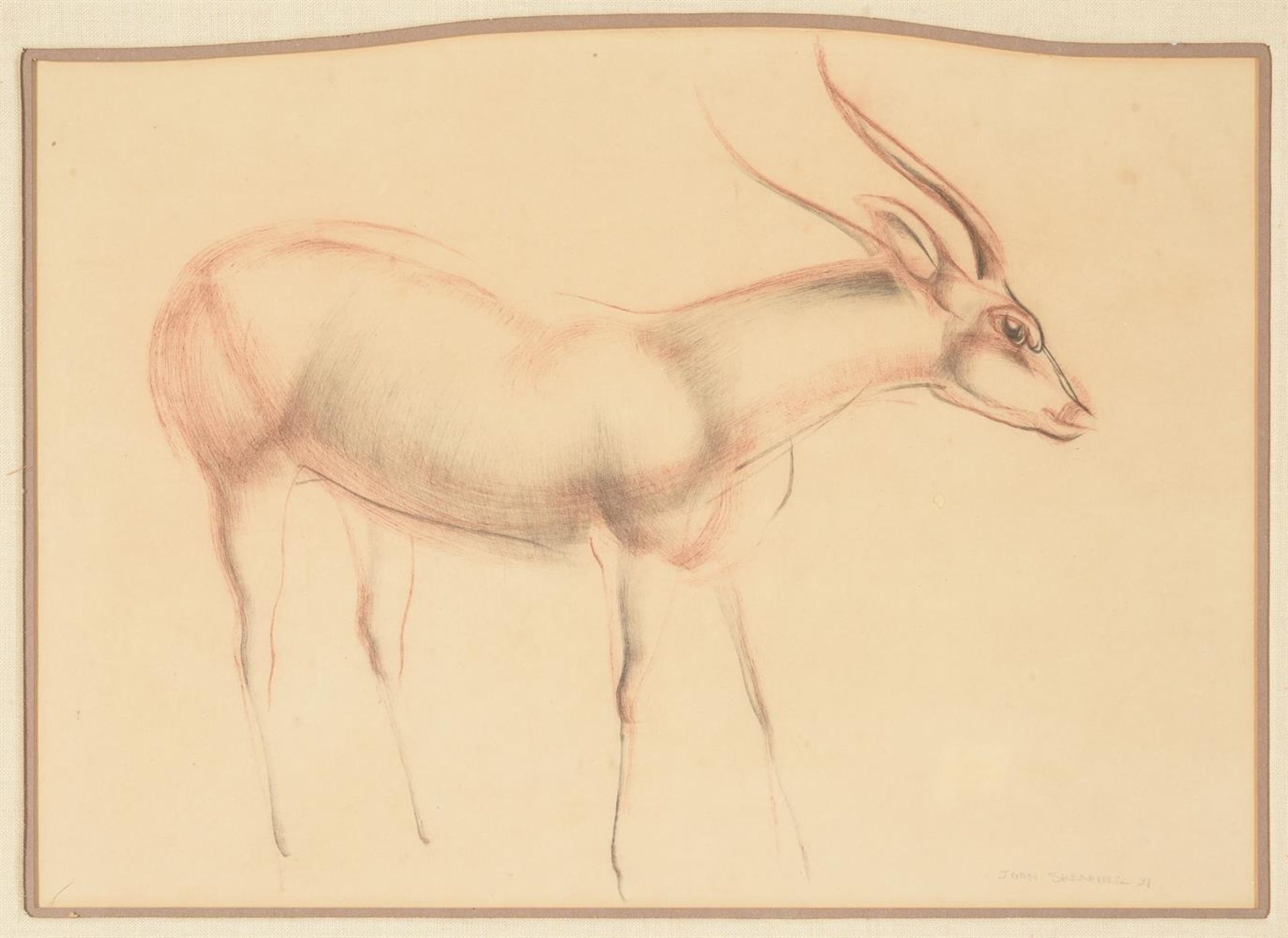 λ JOHN RATTENBURY SKEAPING (BRITISH 1901-1980), STUDY OF A GAZELLE