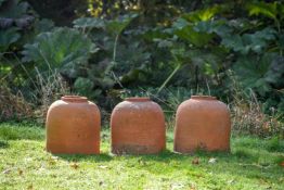 A GROUP OF THREE TERRACOTTA RHUBARB FORCERS