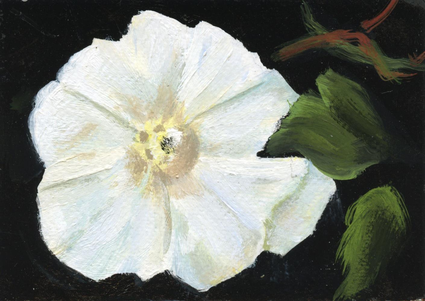 Heidi Lichterman, Bindweed in Bramble, 2022