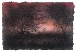 Sue Bryan, Sunset With Trees, 2022