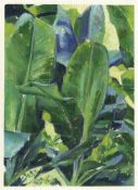 Aidan Myers, Banana Leaf Forms XIII, 2022