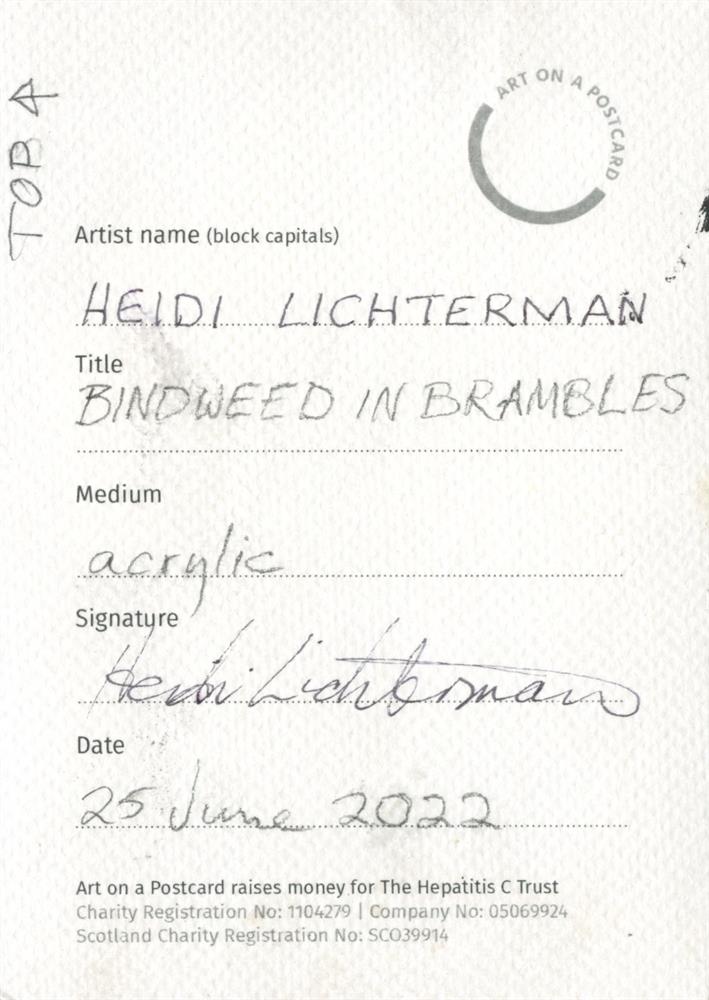 Heidi Lichterman, Bindweed in Bramble, 2022 - Image 2 of 3