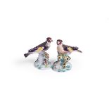 A PAIR OF DERBY PORCELAIN MODELS OF GOLDFINCHES, CIRCA 1760-65