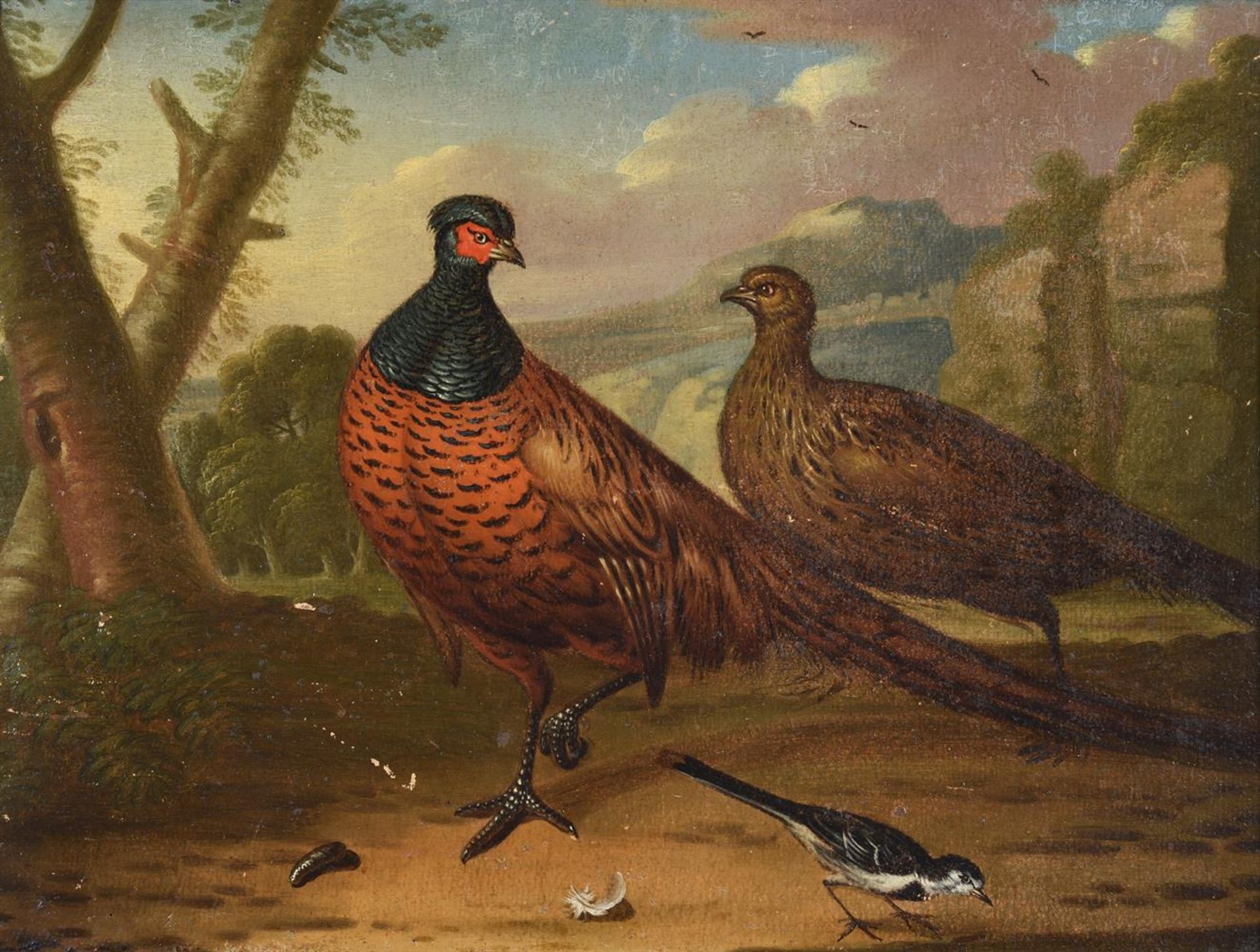 CIRCLE OF MARMADUKE CRADDOCK (BRITISH 1660-1716), A HEN WITH CHICKS; PIGEONS; AND TWO WITH PHEASANTS - Image 2 of 13