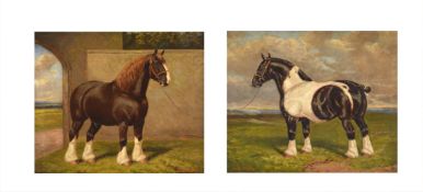 ALBERT CLARK (BRITISH 1821-1909), SHIRE HORSES