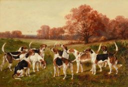 HENRY LUCAS LUCAS (BRITISH 1848-1943), A GROUP OF WARWICKSHIRE BITCHES