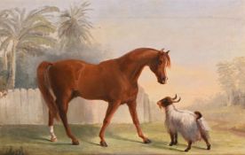 JOHN ALEXANDER HARRINGTON BIRD (BRITISH 1846-1936), A HORSE AND A RAM