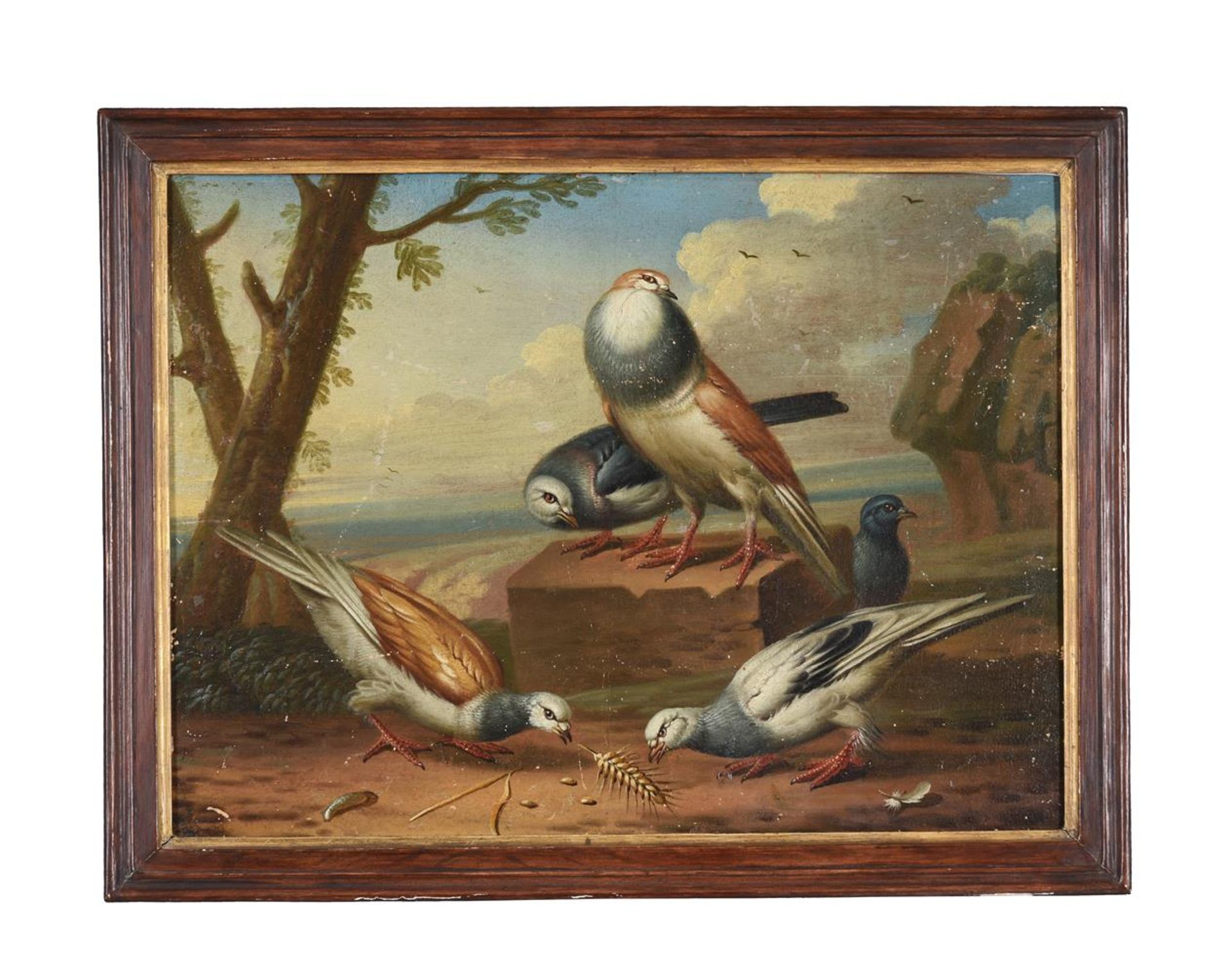 CIRCLE OF MARMADUKE CRADDOCK (BRITISH 1660-1716), A HEN WITH CHICKS; PIGEONS; AND TWO WITH PHEASANTS - Image 6 of 13