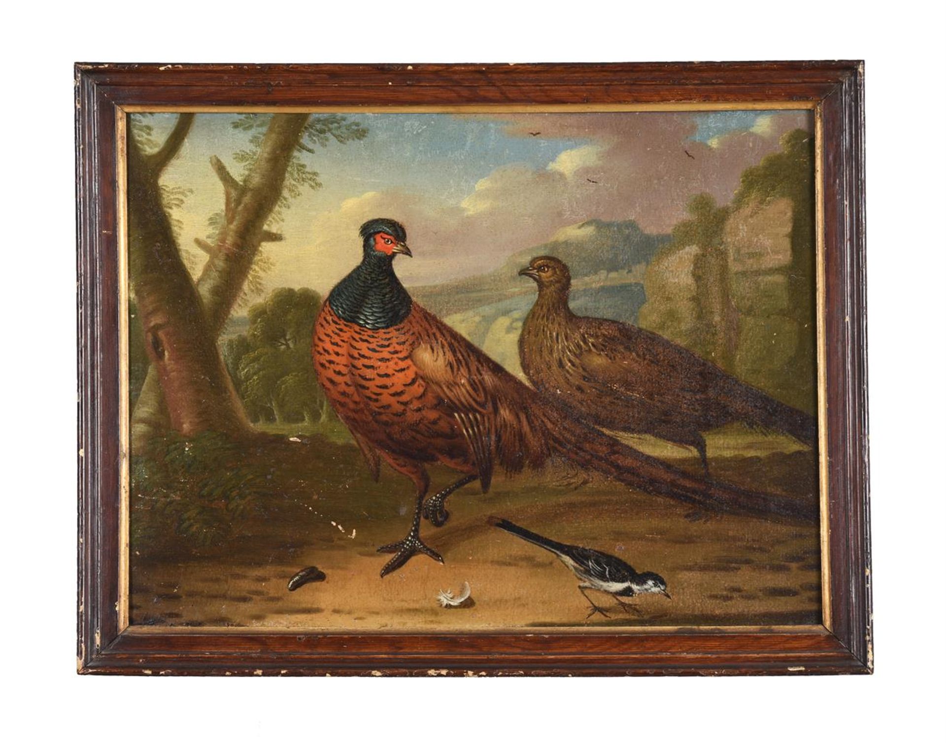 CIRCLE OF MARMADUKE CRADDOCK (BRITISH 1660-1716), A HEN WITH CHICKS; PIGEONS; AND TWO WITH PHEASANTS - Image 7 of 13