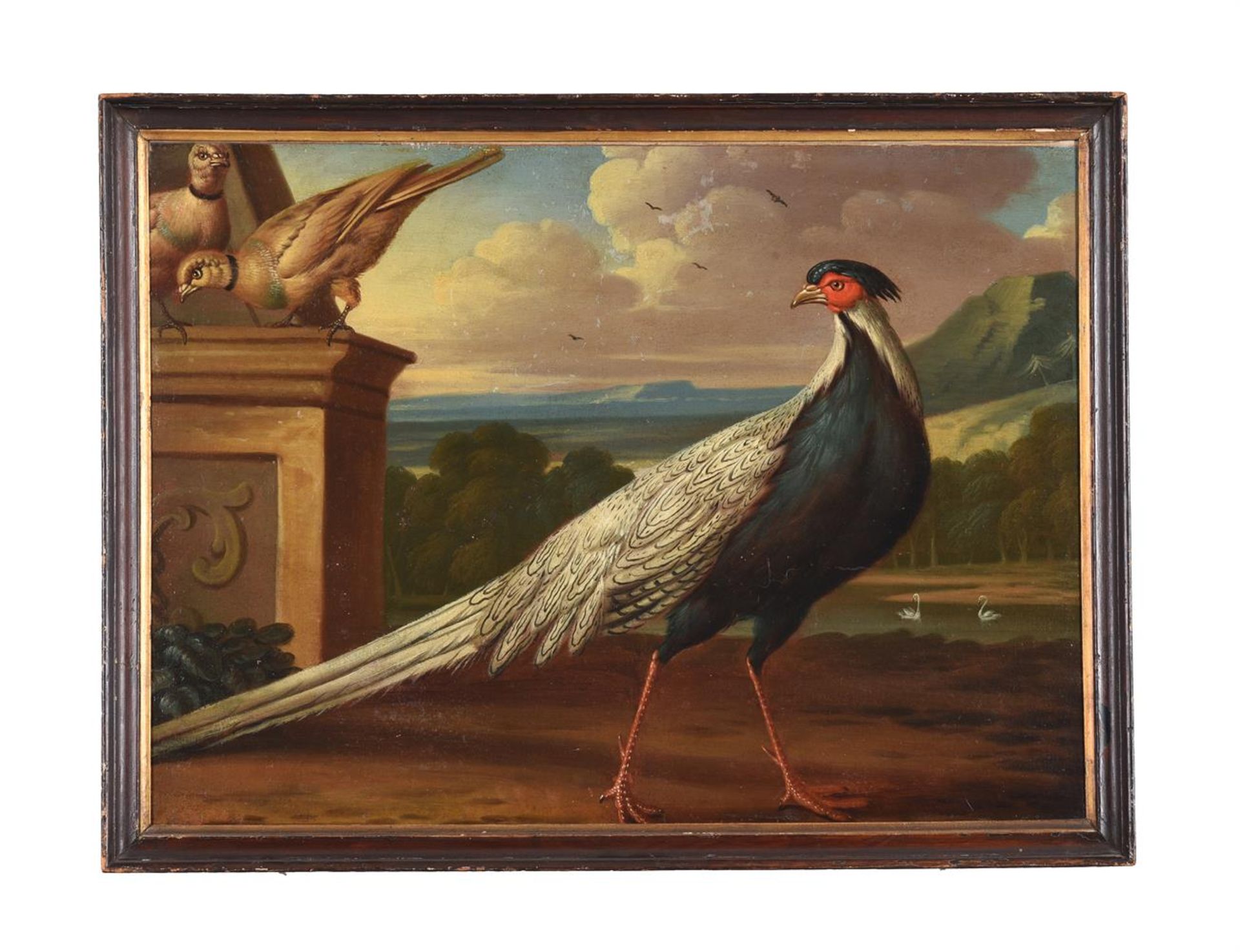 CIRCLE OF MARMADUKE CRADDOCK (BRITISH 1660-1716), A HEN WITH CHICKS; PIGEONS; AND TWO WITH PHEASANTS - Image 8 of 13