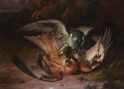 PHILLIP REINAGLE (BRITISH 1749-1833), TWO BIRDS OF PREY FIGHTING