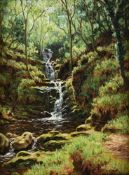 H. MELLOR (20TH CENTURY), A WATERFALL
