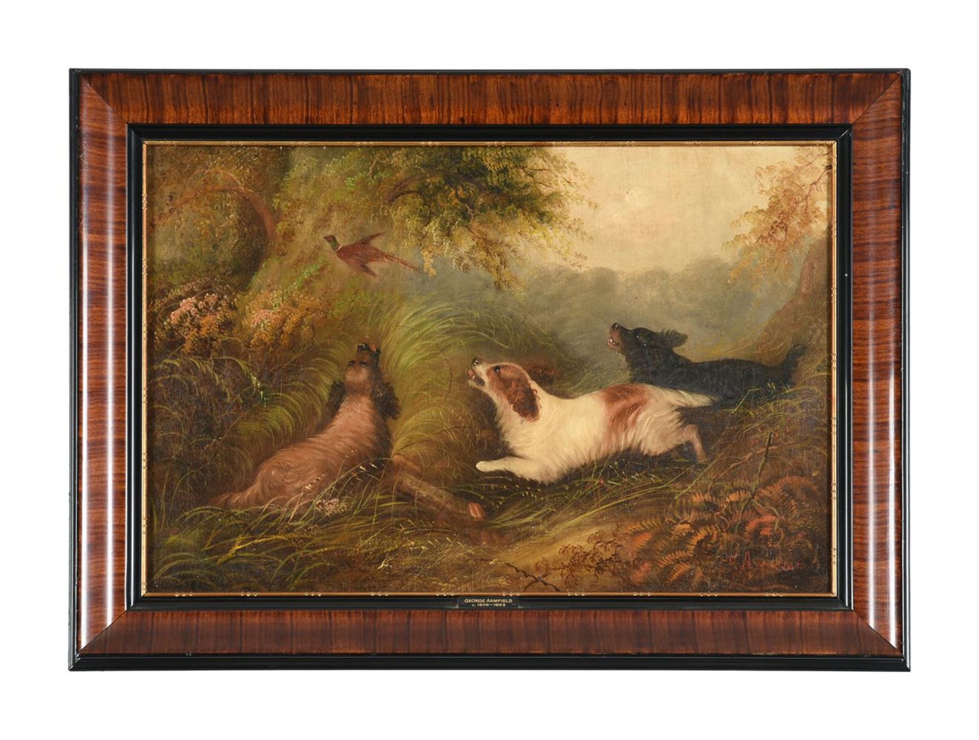 GEORGE ARMFIELD (BRITISH 1803-1893), THREE SPANIELS CHASING A PHEASANT - Image 2 of 4