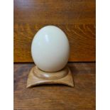 An Ostrich egg mounted on turned orange oak stand.