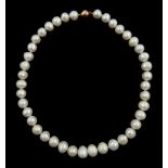 Single strand cultured white pearl necklace