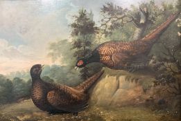 German School (19th/20th century): Pheasants in Countryside Clearing