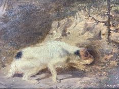 Circle of George Armfield (British 1808-1893): White Terrier Hunting