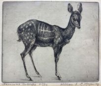 William Evan Charles Morgan (British 1903-1979): 'Harnessed Antelope'