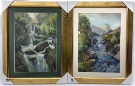 John Arthur Dees (Northern British 1875-1959): 'Waterfalls Two Stages - Green Effect'