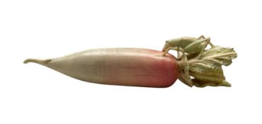 19th century Chinese stained and carved ivory model of a radish with grasshopper