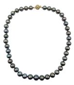 Single strand graduating Tahitian pearl necklace