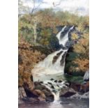 F Jackson (British 19th/20th century): Waterfall Scene